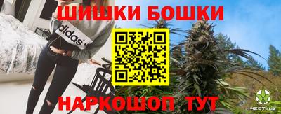 сатива Малгобек