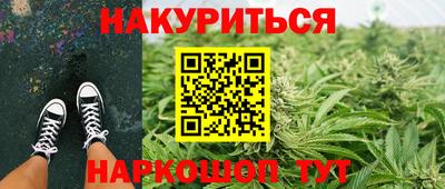 сатива Малгобек