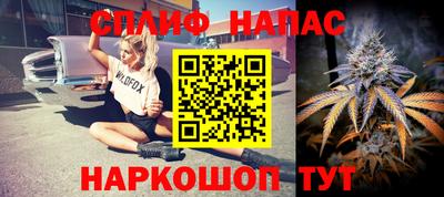 сатива Малгобек